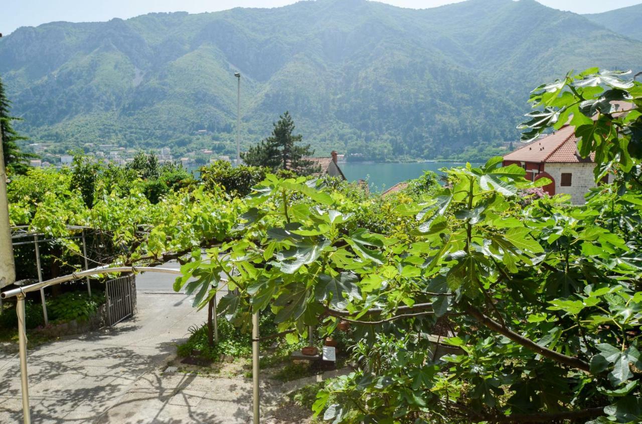 Apartments Nik Kotor Exterior photo